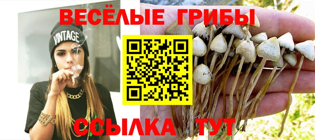 Галлюциногенные грибы Psilocybe Сарапул